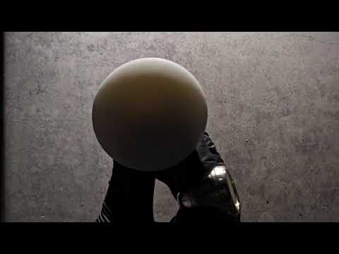 Moon Phizer Demonstration